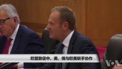 欧盟敦促中美俄与欧洲合作 “防止爆发冲突与混乱” 欧盟敦促中美俄与欧洲合作 “防止爆发冲突与混乱”