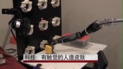 科技:有触觉的人造皮肤 科技:有触觉的人造皮肤
