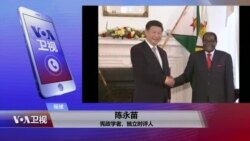 VOA连线:穆加贝是否下台 中国官方民间关注有何不同? VOA连线:穆加贝是否下台 中国官方民间关注有何不同?