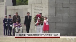 台湾驻美代表出席华盛顿二战胜利日活动 台湾驻美代表出席华盛顿二战胜利日活动