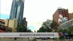 美议员呼吁川普重视开发非洲市场 美议员呼吁川普重视开发非洲市场