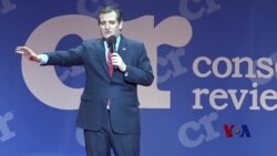 南卡共和党选民眼光:基督教价值观和从商经验 南卡共和党选民眼光:基督教价值观和从商经验