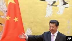 中共总书记、中国国家主席习近平。(资料照)