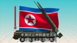 朝鲜离炭疽武器有多远? 朝鲜离炭疽武器有多远?