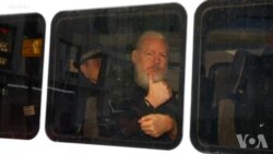 特朗普称不了解维基解密网站 特朗普称不了解维基解密网站