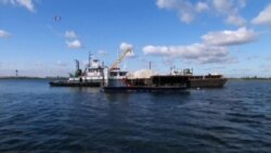 纽约人用回收马桶恢复牡蛎礁 纽约人用回收马桶恢复牡蛎礁