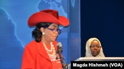 弗雷德里卡·威尔逊众议员(资料照)