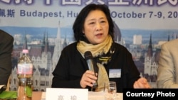 高瑜2012年10月在布达佩斯全球支持中国和亚洲民主化论坛大会上演讲(民主中国阵线总部理事李震拍摄)