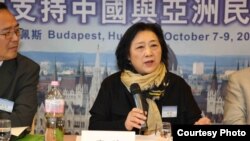 高瑜2012年10月在布达佩斯全球支持中国和亚洲民主化论坛大会上演讲(民主中国阵线总部理事李震拍摄)