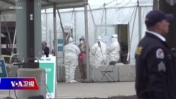 时事大家谈:新冠背后酝酿着更大危机? 时事大家谈:新冠背后酝酿着更大危机?