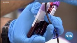 VOA英语视频: 美学生组织要求废除限制同性恋献血法律 VOA英语视频: 美学生组织要求废除限制同性恋献血法律