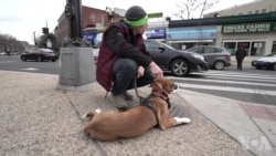 摒弃传统办公室 更多美国人加入“零工经济” 摒弃传统办公室 更多美国人加入“零工经济”