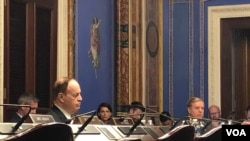 参议员谢尔比(左)主持听证会(美国之音黎堡2019年5月8日)