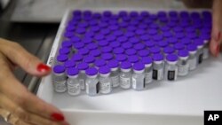 巴西一名医护人员在圣保罗的一个医疗中心整理一盘辉瑞新冠疫苗。(2021年5月6日)