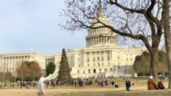 圣诞节这天,游人走过国会山圣诞树。(2019年12月25日)
