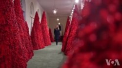 第一夫人装点白宫走廊 第一夫人装点白宫走廊