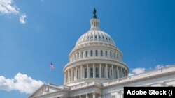 Kendali Kongres AS diperebutkan dalam pemungutan suara hari Selasa (5/11).