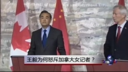 热点快评:王毅为何怒斥加拿大女记者? 热点快评:王毅为何怒斥加拿大女记者?