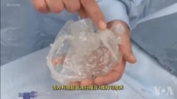 走进美国:神奇的3维立体打印心脏 走进美国:神奇的3维立体打印心脏
