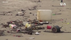 淹死在我们自己的塑料垃圾中 淹死在我们自己的塑料垃圾中