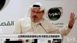 土耳其总统承诺将公布卡舒吉之死的细节 土耳其总统承诺将公布卡舒吉之死的细节