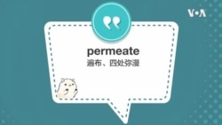 学个词 - permeate