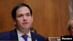 来自佛罗里达州的共和党参议员鲁比奥(Marco Rubio)在听证会上(2018年7月25日)