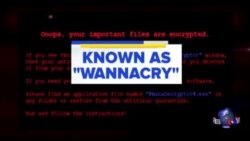 日本等150个国家的电脑遭勒索软件攻击 日本等150个国家的电脑遭勒索软件攻击
