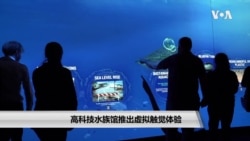 高科技水族馆推出虚拟触觉体验 高科技水族馆推出虚拟触觉体验