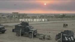 伊拉克军队进入摩苏尔 伊斯兰国顽固抵抗 伊拉克军队进入摩苏尔 伊斯兰国顽固抵抗