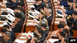 人大代表在北京出席中国第十四届全国人民代表大会三次会议第二次全体会议。(2025年3月8日)