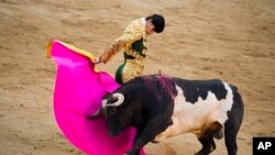 资料照:西班牙斗牛士在马德里的拉斯班塔斯斗牛场表演斗牛。