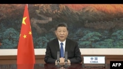 中国国家主席习近平在世界卫生大会视频开幕式上发表视频讲话。(2020年5月18日)