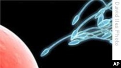 科技脉动:科学家在DNA中发现不孕关键