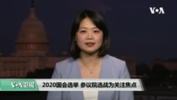 2020国会选举 参议院选战为关注焦点 2020国会选举 参议院选战为关注焦点