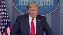 Trump Stop Sebagian Imigrasi di Tengah Pandemi Trump Stop Sebagian Imigrasi di Tengah Pandemi