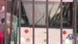 底特律法院叫停对1400名伊拉克人的驱逐令 底特律法院叫停对1400名伊拉克人的驱逐令