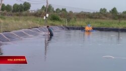 Việt Nam ra sao nếu chiến tranh thương mại Mỹ - Trung leo thang? Việt Nam ra sao nếu chiến tranh thương mại Mỹ - Trung leo thang?