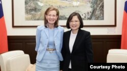 台湾总统蔡英文与华盛顿邮报资深副主编韦茅斯合影(台湾总统府提供)