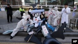 Tư liệu- Một nhóm các nhà hoạt động bảo vệ môi trường của Hàn Quốc trong một cuộc biểu tình chống các hoạt động săn bắt cá voi của Nhật Bản.