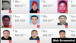 现在国际刑警组织公开查询系统中只能查到红色通缉令逃犯47人,不包括任何“百名红通人员”