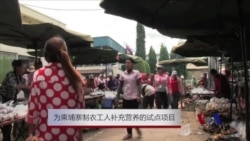 为柬埔寨制衣工人补充营养的试点项目 为柬埔寨制衣工人补充营养的试点项目