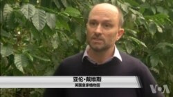 野生咖啡正在消失,咖啡物种受到威胁 野生咖啡正在消失,咖啡物种受到威胁