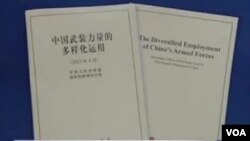 中国国防白皮书批美重返亚洲政策 (截图)