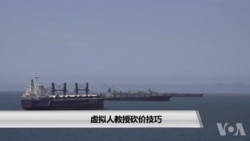 虚拟人教授砍价技巧 虚拟人教授砍价技巧