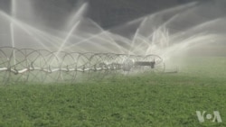 不再是科幻:科学家利用人工智能调整生物 不再是科幻:科学家利用人工智能调整生物