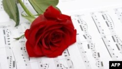 Nhạc sĩ Thanh Bình