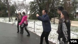 Các du khách tới Washington D.C. hi vọng có thể ngắm được hoa anh đào nở.