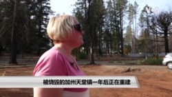 被烧毁的加州天堂镇一年后正在重建 被烧毁的加州天堂镇一年后正在重建