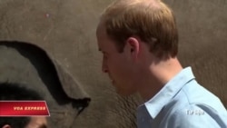 Hoàng tử William tới Việt Nam để làm gì? Hoàng tử William tới Việt Nam để làm gì?